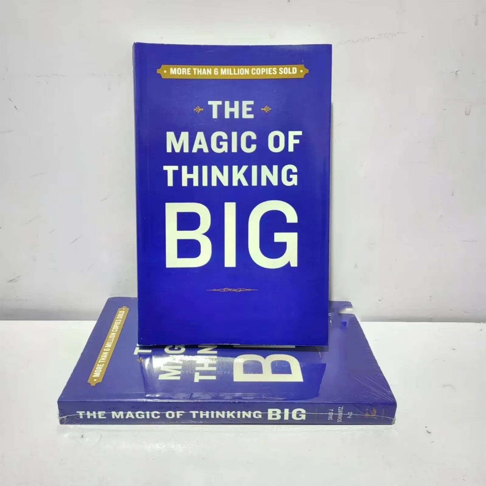 The Magic Of Thinking Big The True Secret Of Success - How To Earn More, Lead Fearlessly And Live A Happier Life
